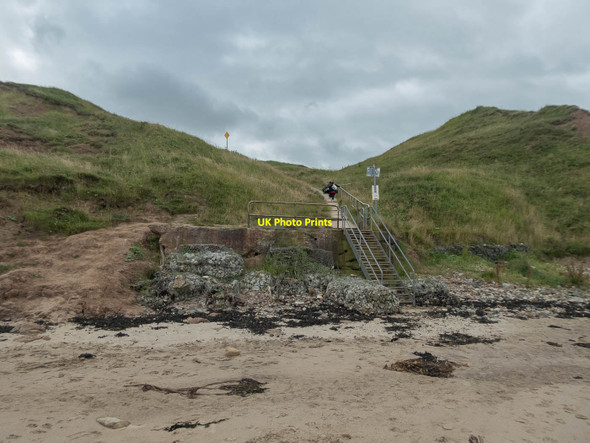 Photo 6"x4" Path to Cayton Bay, Yorkshire Lebberston c2015
