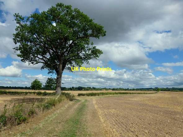 Photo 6"x4" Walking the Whitmore Way, 4 Corse\/SO7828 c2015
