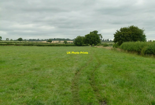 Photo 6"x4" Footpath towards Lower Vicarwood Mackworth\/SK3137 c2015