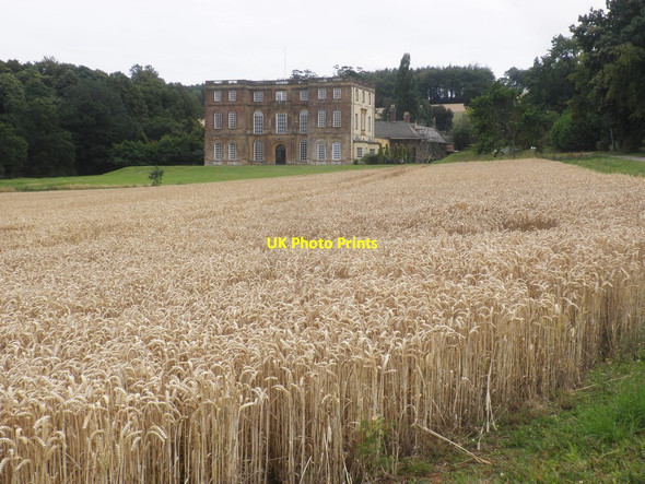 Photo 6"x4" Wheat field at Haswell Estate Goathurst c2015