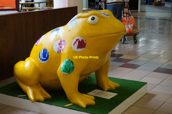 Photo 6"x4" The Chiltern Toad in Prospect Centre, Hull Kingston upon Hull c2015