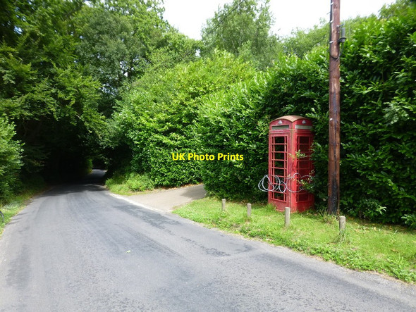 Photo 6"x4" Near Beeches Lodge in Great Sandhurst Woods Kipping's Cross c2015