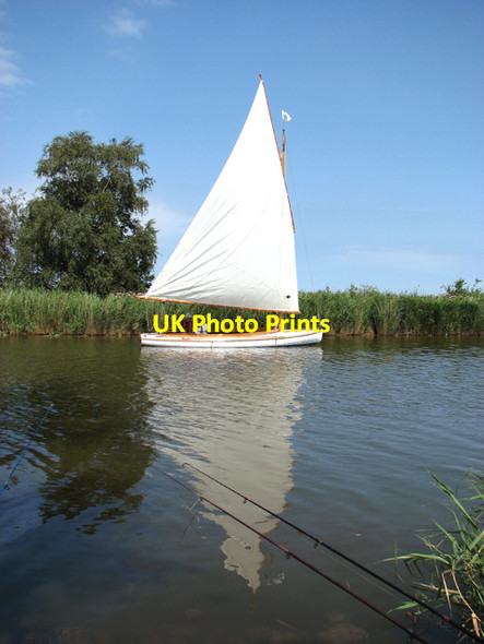 Photo 6"x4" Sailing down Candle Dyke towards the River Thurne Mustard Hyrn c2015