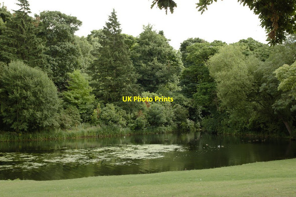 Photo 6"x4" Menagerie Ponds, Temple Newsam Colton\/SE3632 c2015