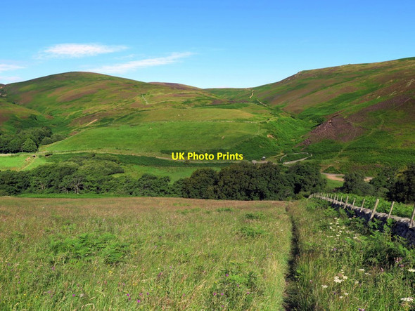 Photo 6"x4" Permissive footpath above Harthope Burn Harthope Burn\/NT9522 c2015