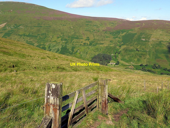 Photo 6"x4" Gate above Langleeford Hope Langleeford Hope c2015