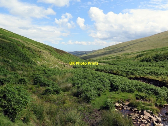 Photo 6"x4" Along the Harthope Burn Coldlaw Hope c2015