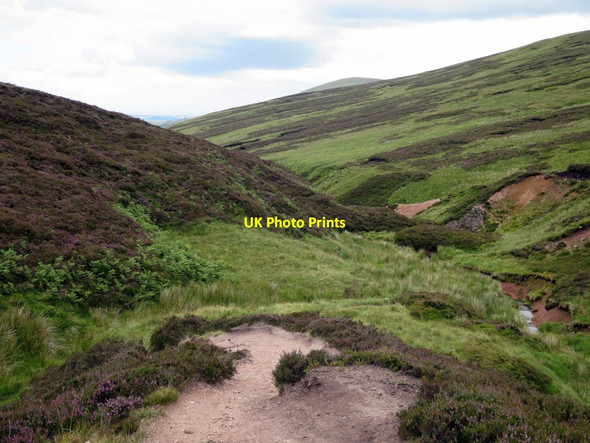 Photo 6"x4" Path in upper part of Harthope Burn Cairn Hill\/NT9019 c2015