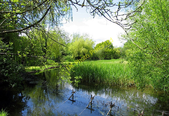 Photo 6"x4" The Lambourn River at Woodspeen Hunt's Green\/SU4370 c2005