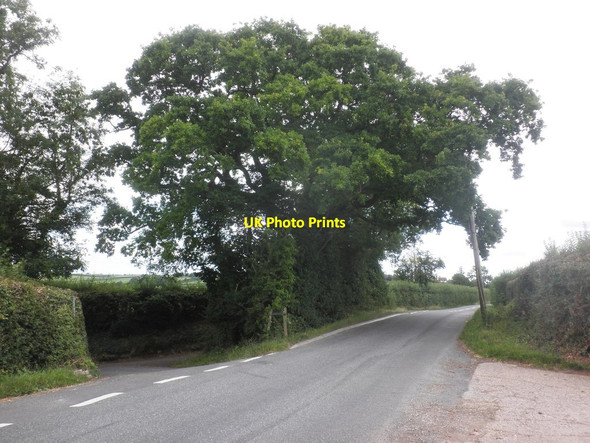 Photo 6"x4" Turning for Langlands Lane Lillesdon c2015