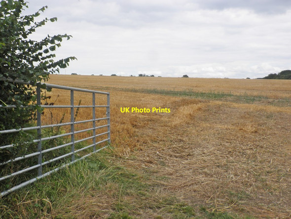 Photo 6"x4" Field of stubble, off Stowey Lane Fivehead c2015