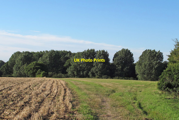 Photo 6"x4" Footpath on arable field, near Workhouse Green, Little Cornard Workhouse Green c2015