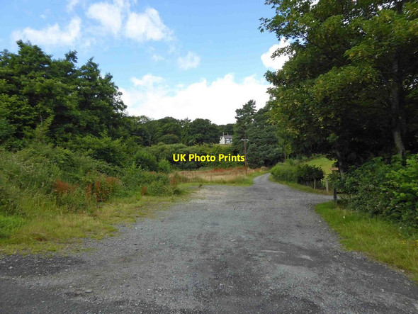 Photo 6"x4" Track off minor road near Llechan Isaf Conwy c2015