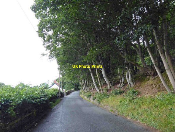 Photo 6"x4" Henryd Road Conwy c2015