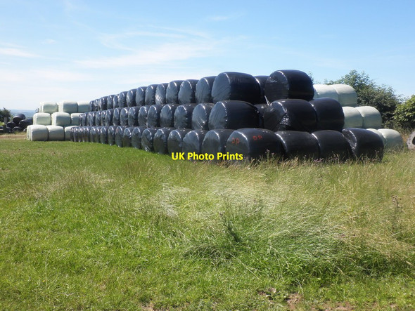 Photo 6"x4" Hay bales, South Wooley Farm Churchill\/SS5940 c2015