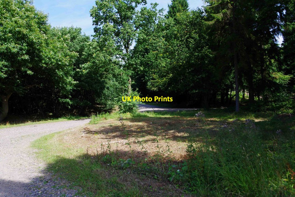 Photo 6"x4" Forestry roads, King's Wood, near Challock, Kent Molash c2015