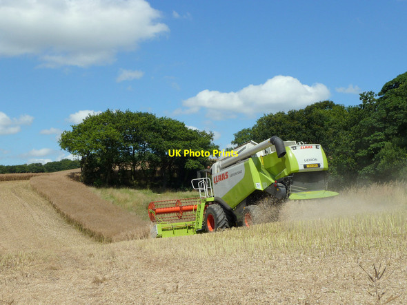 Photo 6"x4" Rape Seed Harvest at Ashgrove Farm, Billinge Billinge c2015 P1