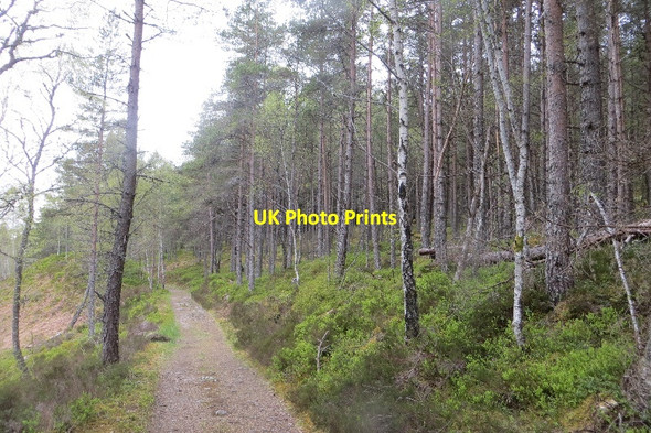 Photo 6"x4" Path above Allt na Bogair Allt na Bogair c2015