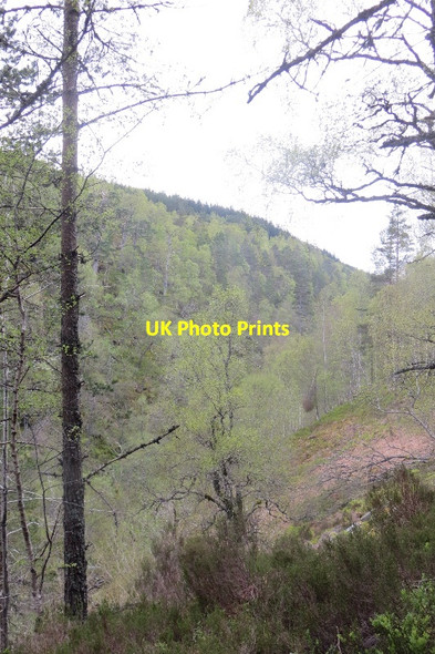 Photo 6"x4" Allt na Bogair Allt na Bogair c2015