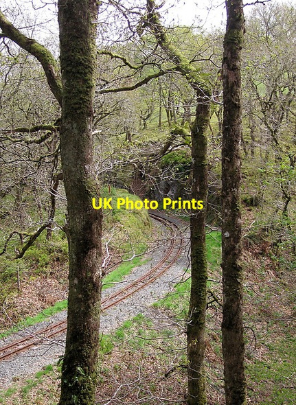 Photo 6"x4" Vale of Rheidol railway cutting Devil's Bridge\/Pontarfynach c2015