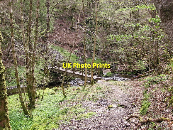 Photo 6"x4" Footbridge on the Nant y Fawnog Devil's Bridge\/Pontarfynach c2015