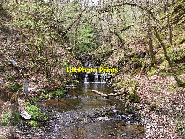 Photo 6"x4" Nant y Fawnog Devil's Bridge\/Pontarfynach c2015
