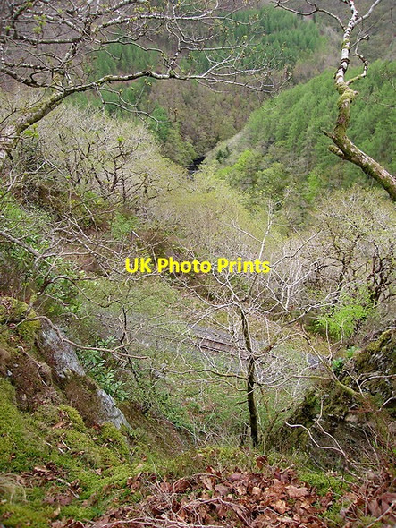 Photo 6"x4" Rheidol gorge Devil's Bridge\/Pontarfynach c2015