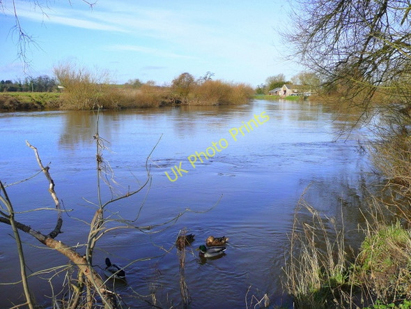Photo 6"x4" River Wye at Ross Riverside Ross-on-Wye c2009