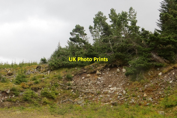 Photo 6"x4" Windthrow, Rannoch Forest Meall nan Sac\/NN5651 c2015