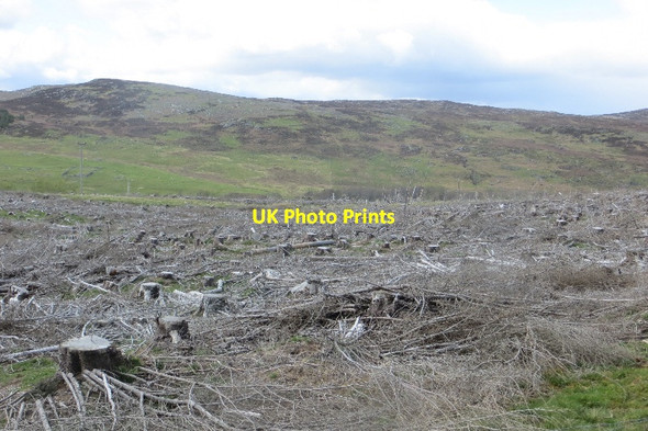 Photo 6"x4" Felled area, Braes of Foss Aonach B\u00e0n c2015