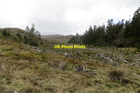 Photo 6"x4" Felled area, Rannoch Forest Creagan na C\u00f2rr c2015