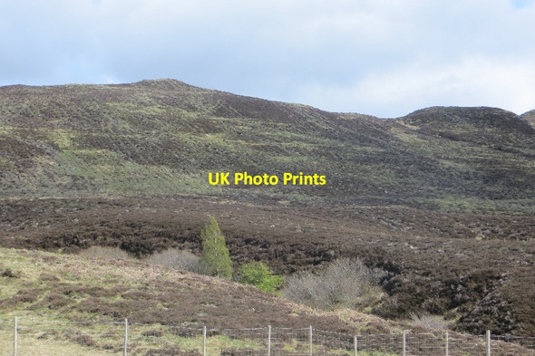 Photo 6"x4" Newly planted woodland, Craggan Breac Keltneyburn c2015