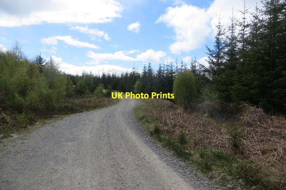 Photo 6"x4" Logging road, Rannoch Forest Loch Rannoch c2015