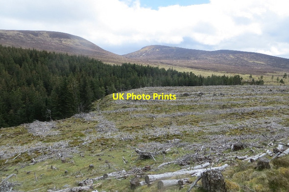 Photo 6"x4" Felled area, Rannoch Forest Lairig Ghallabhaich c2015