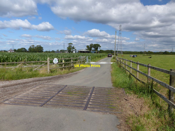 Photo 6"x4" Driveway to Woolstencroft Farm Little Bollington c2015