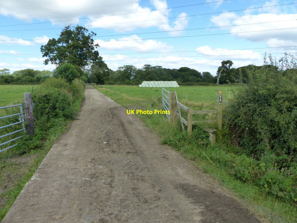 Photo 6"x4" Footpath near Woolstencroft Farm Dunham Woodhouses c2015