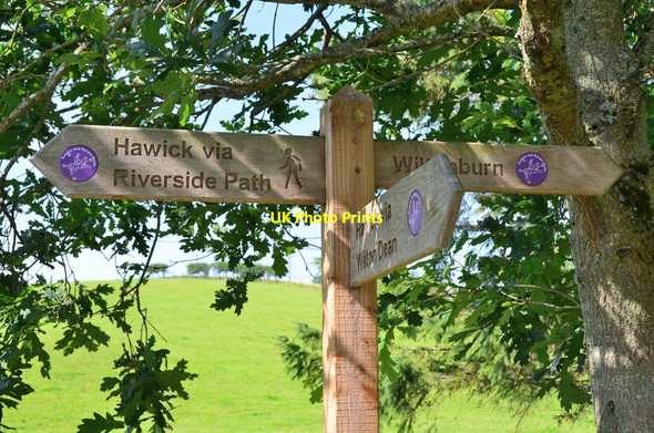 Photo 6"x4" Footpath signpost near Wilton Burn Hawick c2015