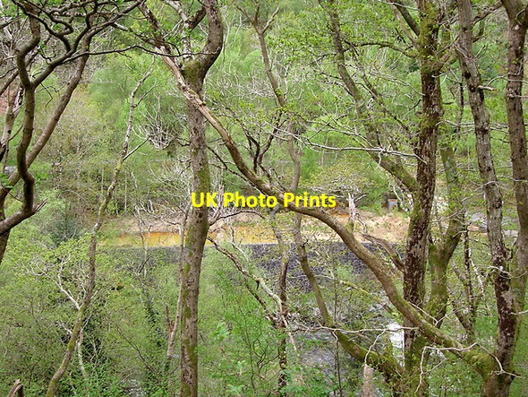 Photo 6"x4" Filter beds by the Afon Rheidol Ystumtuen c2015