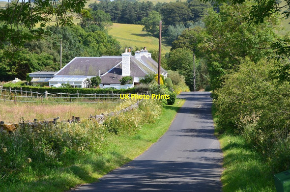 Photo 6"x4" Whitehaugh Cottages Hawick c2015