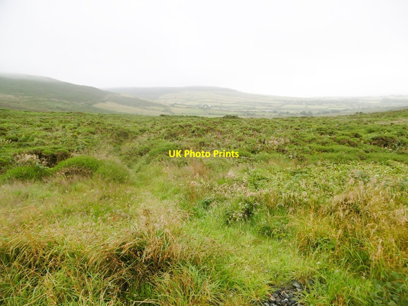 Photo 6"x4" Rushen, moorland Surby c2015