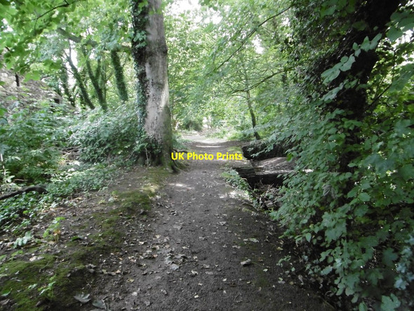 Photo 6"x4" Bishopscourt Glen, path Bishop's Court\/SC3292 c2015