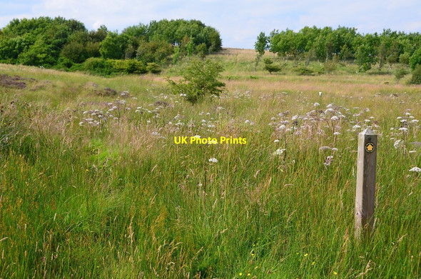 Photo 6"x4" Site of medieval settlement Salenside c2015
