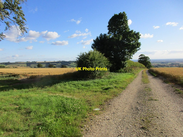 Photo 6"x4" Track to Boot and Shoe Plantation Painsthorpe c2015
