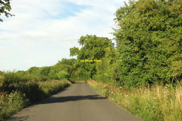 Photo 6"x4" Salt Lane to Postcombe South Weston c2015