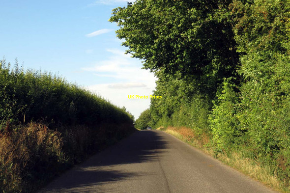 Photo 6"x4" Up Salt Lane to Postcombe South Weston c2015