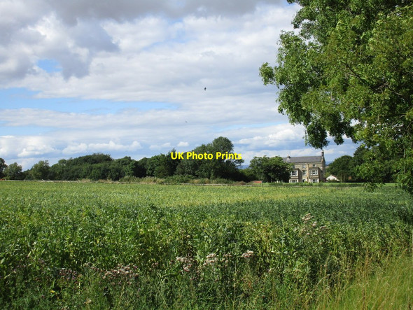 Photo 6"x4" Bean field and Burythorpe House Hotel Burythorpe c2015