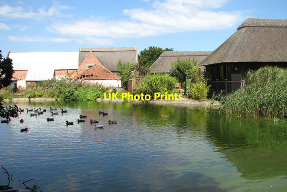 Photo 6"x4" Moregrove Manor barn and barn conversions Damgate\/TG4519 c2015