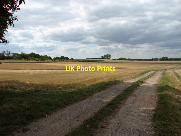 Photo 6"x4" Harvested fields by Martham Martham c2015
