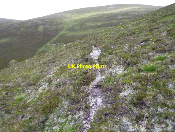 Photo 6"x4" Animal track on north-west ridge of Meall Dubhag above Glenfeshie Coire Gorm\/NN8796 c2015