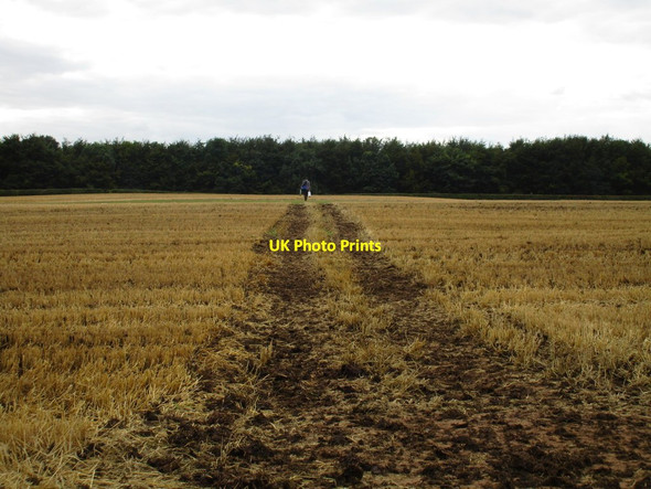 Photo 6"x4" Man on a mission Harthill\/SK4980 c2015